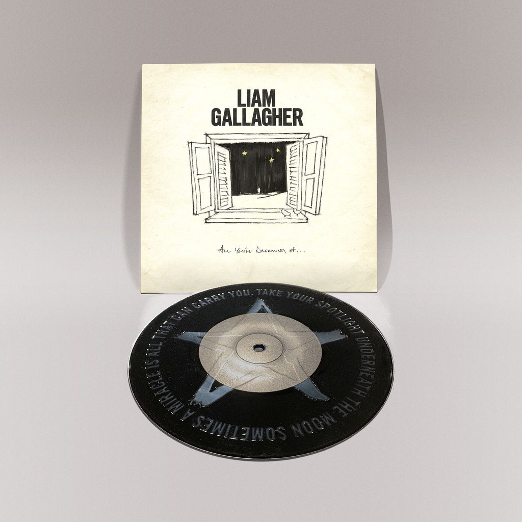 All You're Dreaming Of - Black 7" Vinyl