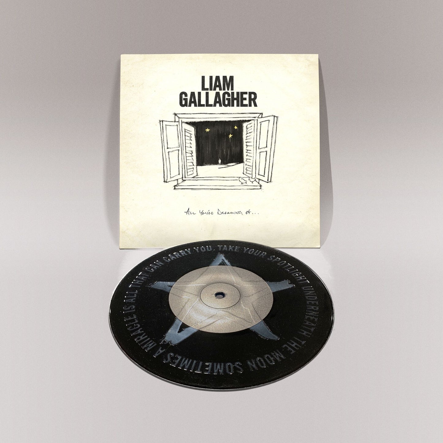 All You're Dreaming Of - Black 7" Vinyl