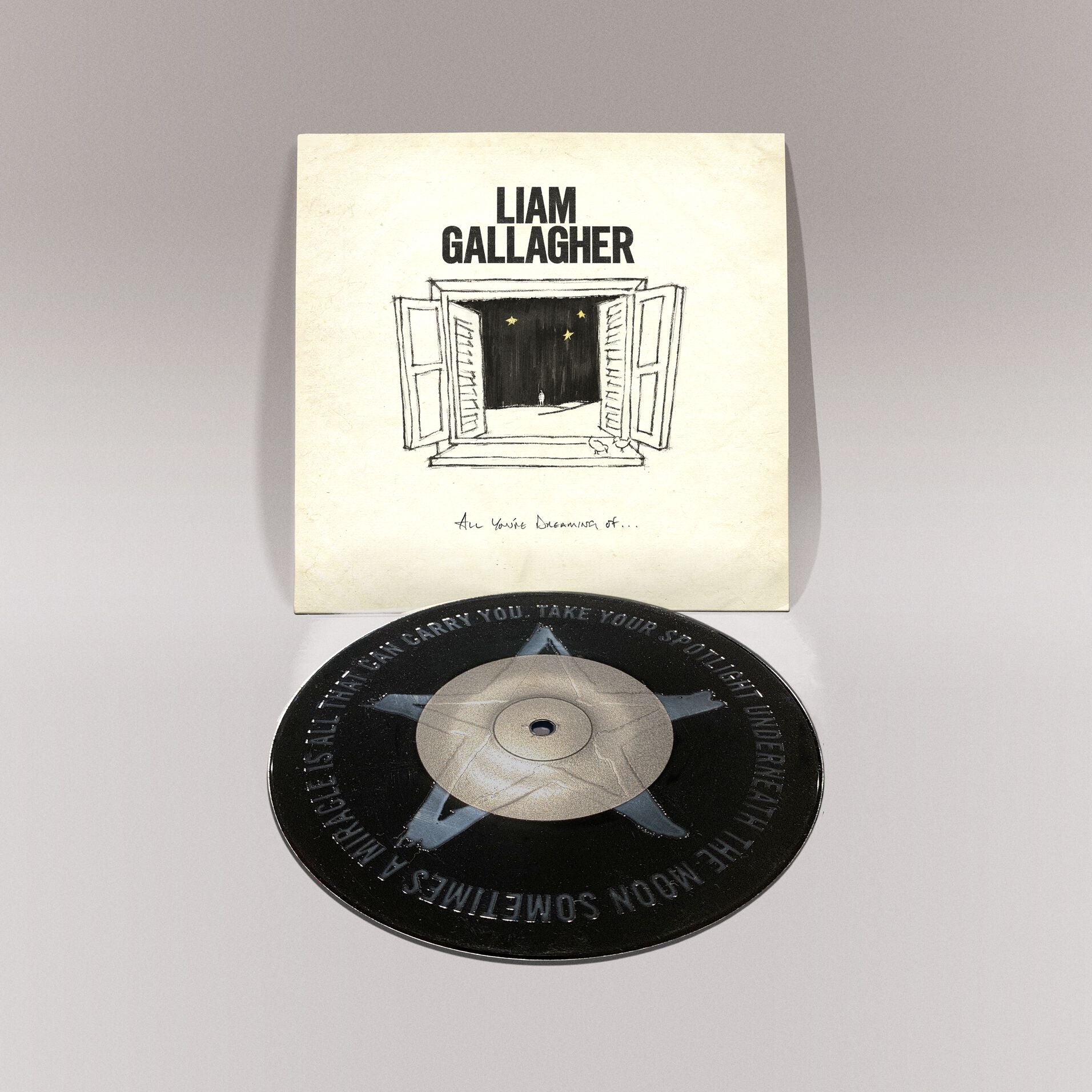 All You're Dreaming Of - Black 7" Vinyl