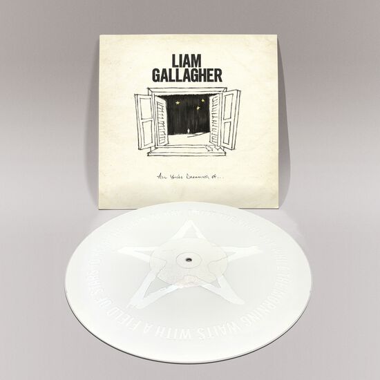 All You're Dreaming Of - White 12" Vinyl